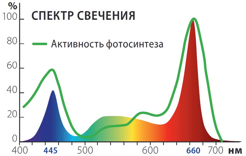 Активность фотосинтеза