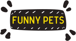 Товары от Funny pets