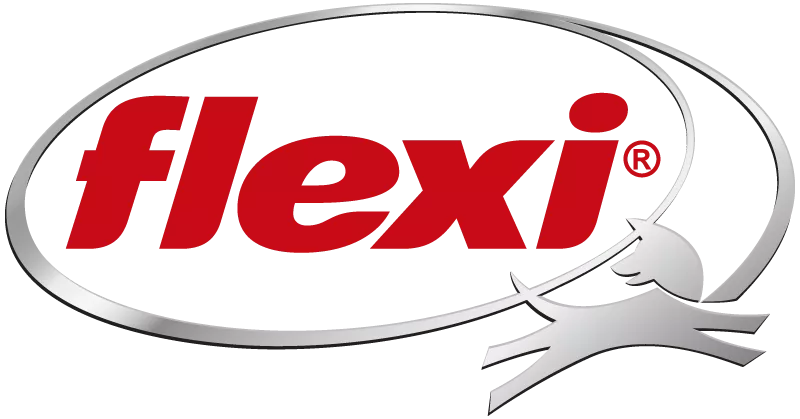 FLEXI logo