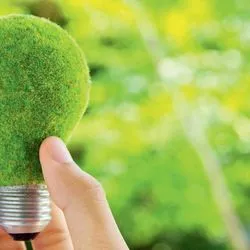 Светодиодные лампы берегут природу