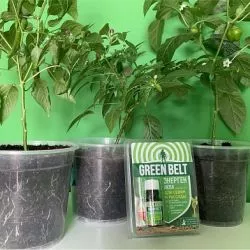 Green Belt – препараты для защиты растений и стимуляции их роста