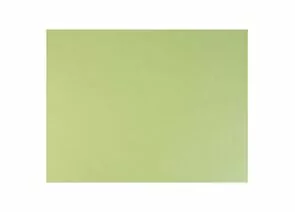 745509 - Бумага для пастели (1 лист) FABRIANO Tiziano А2+ (500х650 мм), 160 г/м2, салатовый теплый, 52551011 (1)