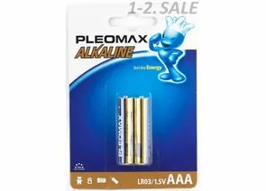 16433 - Элемент питания Pleomax LR03/286 BL2 (1)