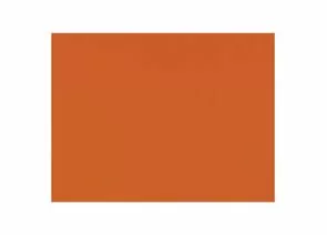 745533 - Бумага (картон) для творчества (1 лист) SADIPAL Sirio А2+ (500х650 мм), 240 г/м2, оранжевый, 7867 (1)