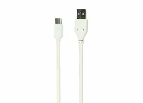 695555 - Дата-кабель Smartbuy USB 2.0 - USB TYPE C, белый, длина 1 м (iK-3112 white)/500 (1)