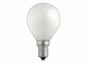165949 - Лампа накаливания JAZZWAY P45 E14 60W шар матовая (1)