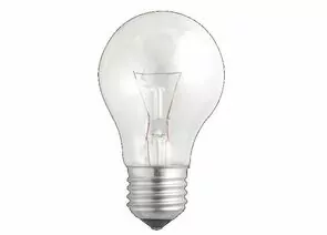 165930 - Лампа накаливания Jazzway A55 E27 75W ЛОН прозрачная (1)