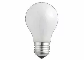 165931 - Лампа накаливания Jazzway A55 E27 75W ЛОН матовая (1)