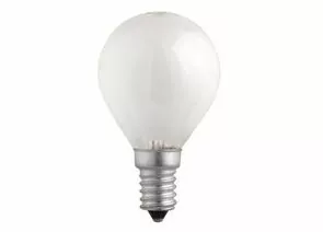 165946 - Лампа накаливания Jazzway P45 E14 40W шар матовая (1)