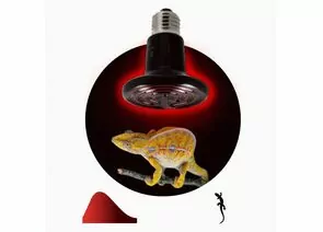 813502 - ЭРА лампа ИК инфракрасн. керамич 150W E27 д/обогрева животных (аналог ИКЗК) FITO-150W-НQ 85х105 9882 (1)