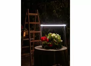815030 - Uniel подставка для свет-ка для растений (фито) h=800мм металл/белый UFP-G20S H80 WHITE (1)