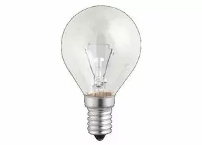 165950 - Лампа накаливания JAZZWAY P45 E14 60W шар прозрачная (1)