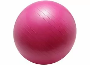 883645 - Фитбол FB75 75см, с насосом, розовый 20131 FIT (1)