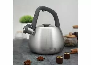 898366 - Чайник метал. со свистком Рейнард 2,2л ручка нейлон софт-тач, нерж.сталь TR-11372 TalleR (1)