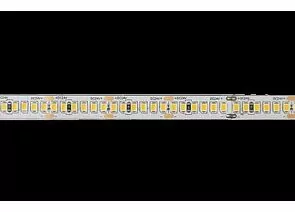 914922 - Jazzway Лента св/д 24V SMD2835 IP20 4000K 2100lm 20W/m 10мм PLS PRO-5 2835/240 (5м, цена/м) .5055889 (1)