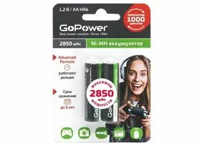 837660 - Аккумулятор GoPower HR6 BL2 NI-MH 2850mAh (2/20/240) (1)