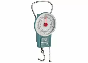932853 - Безмен механический HomeStar HS-3010M, 22кг, дел 100г 107313 (1)