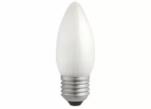 165937 - Лампа накаливания Jazzway B35 E27 40W свеча матовая (1)