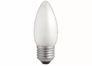 165941 - Лампа накаливания Jazzway B35 E27 60W свеча матовая (1)