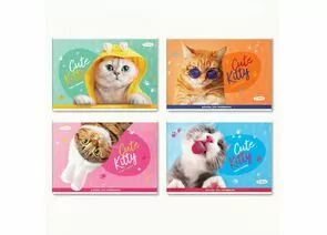950139 - Альбом для рисования 24л., А4, на скрепке BG Cute Kitty цена за шт арт. 344714 (1)
