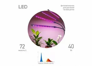 958843 - ЭРА FITO св-к св/д для растений прищепка 40W фито 24мкмоль/c красно-синий 440-660нм 440х115х90 FITO (1)