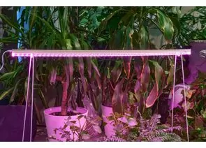 958634 - ФитоЛето св-к св/д для рассады, роста 30W 46мкм/с выкл красно-фиол свеч L=1200 ULI-P57-30W/SPBR IP20 (1)