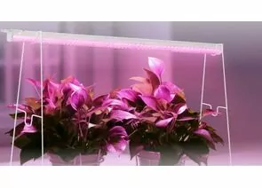 963742 - ASD/InHome св-к св/д линейн для растен 15W 22.5мкм/с полн.сп/роз 578x20 выкл 600 СПБ-Т5PRO-ФИТО 5014 (1)