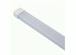 981063 - LEEK св-к св/д линейн 36W(3060lm) 6500K 6K 1200x65x25 опал/метал IP40 ECO 02 (СПО,ЛПО) 061500-0084 (1)