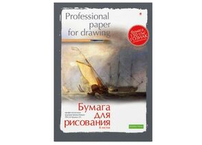 754581 - Папка для рисования А3, 8л, блок ГОСЗНАК 160гр 4-017 дизайн в ассорт 888151 (1)