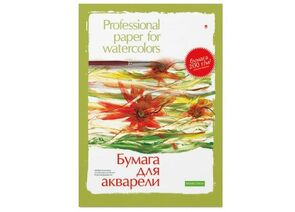 756547 - Папка для рисования акварелью А3,8л,блок ГОЗНАК 200гр 4-007 дизайн в ассорт 888156 (1)