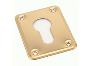 563866 - Накладка для ц/м AVERS DP-С-01-G золото квадратная (240,20) (1)