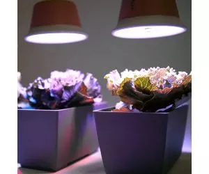 Светильник для комнатных растений