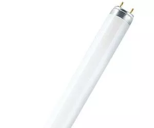 Люминесцентная лампа Т8 с цоколем G13