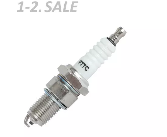 764980 - PATRIOT Свечи F7TC для 4-х тактных двигателей F7-ТС-45NP, 841102220 (2)
