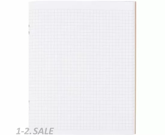 701466 - Тетрадь №1 School Виноградово 48л., А5, скрепка,обл. крафт, цв.печать 794389 (4)