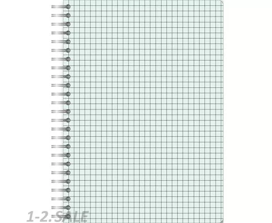 580579 - Бизнес-тетрадь 60л,А5,Амели,150х210мм,80г/квм,тонир 487295 (6)