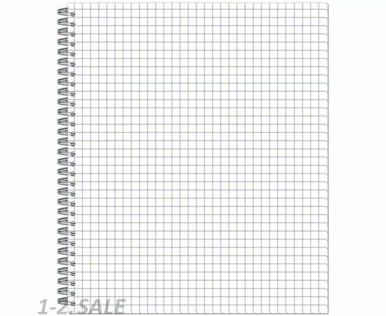 702559 - Тетрадь общая Attache Lines Candy, 96л, пружина, УФ-лак 810676 (4)