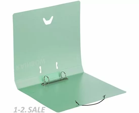 604856 - Папка на 2-х кольцах Attache Rainbow Style зеленый 488251 (4)