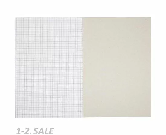 752546 - Бух книги учета 96л.в клетку обл.белый картон 678792 (4)