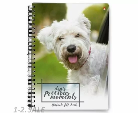 752913 - Блокнот А6 80л на гребне в ассорт 3-80-032 Д 389628 (4)