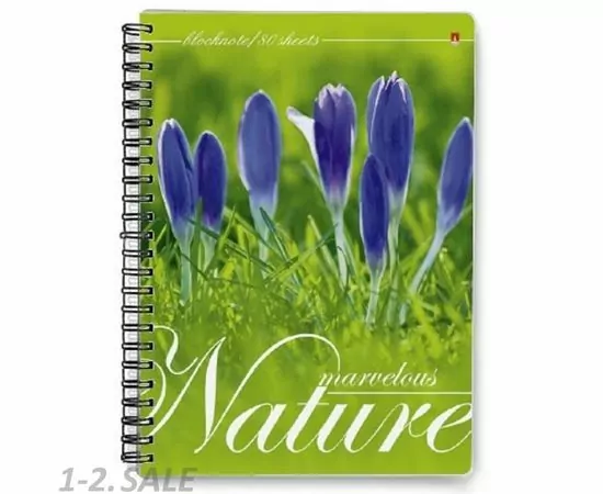 752913 - Блокнот А6 80л на гребне в ассорт 3-80-032 Д 389628 (8)