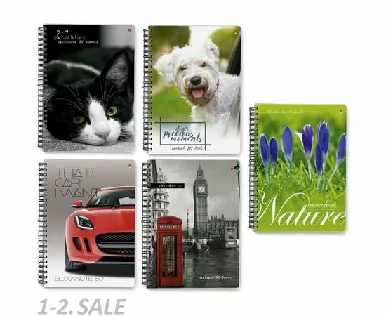 752913 - Блокнот А6 80л на гребне в ассорт 3-80-032 Д 389628 (9)