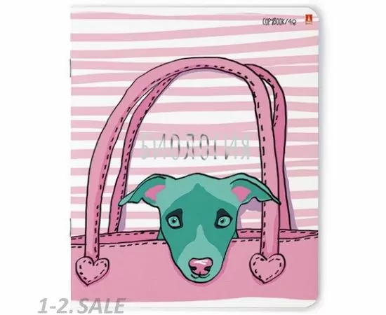 754981 - Набор Тетрадей предметных А5 48л,10шт. СЕРИЯ  GIRLS ONLY 7-48-1102/28 1166988 (9)