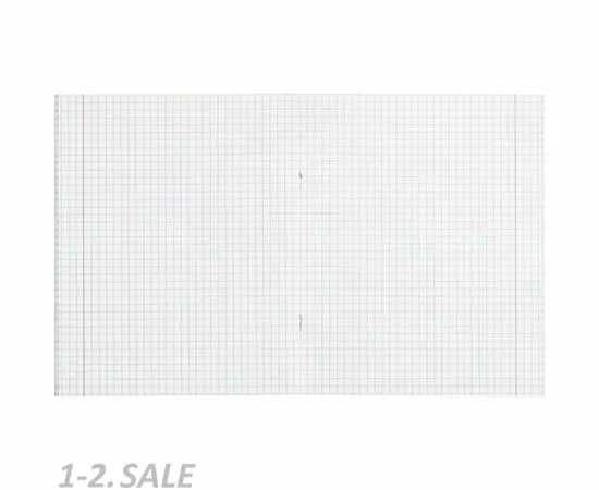 755229 - Тетрадь общая А5,48л,кл,скреп,мел.кар,УФ-лак №1 School Жизнь корги Косточка 1154666 (4)