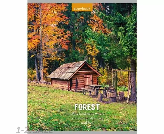 755340 - Тетрадь общая А5,48л,линия,скоба НЕПЕРЕДАВАЕМАЯ ПРИРОДА (48-0080) 5видов 992267 (6)