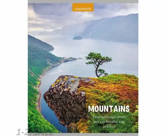 755340 - Тетрадь общая А5,48л,линия,скоба НЕПЕРЕДАВАЕМАЯ ПРИРОДА (48-0080) 5видов 992267 (7)