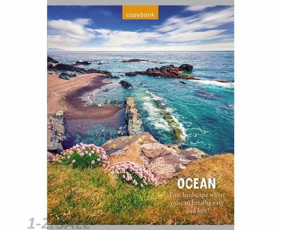 755340 - Тетрадь общая А5,48л,линия,скоба НЕПЕРЕДАВАЕМАЯ ПРИРОДА (48-0080) 5видов 992267 (8)