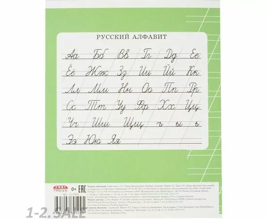755734 - Тетрадь школьная А5,12л,косая линия ВЕЛИКОЛЕПНО! ПЯТЕРКА! ЗЕЛЕНАЯ 12-0509 992169 (4)