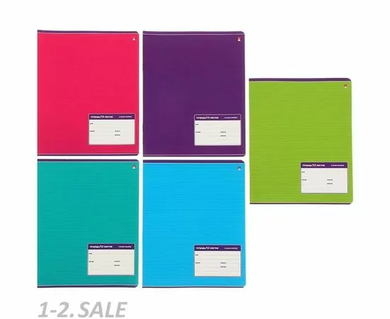 755735 - Тетрадь школьная А5,12л,косая линия КЛАССИКА 5 ЦВЕТОВ 7-12-009/3 985038 (2)