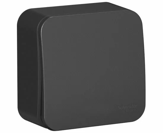 622025 - Systeme Electric BLANCA выкл. ОУ 1 кл. 10А антрацит (пл.осн., изол.пл.) BLNVA101016 (15) (1)